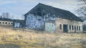 L’ALLEMAGNE FACE À SES VIEUX DÉMONS
